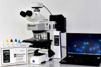 Sperm Hyliter™ Microscopes